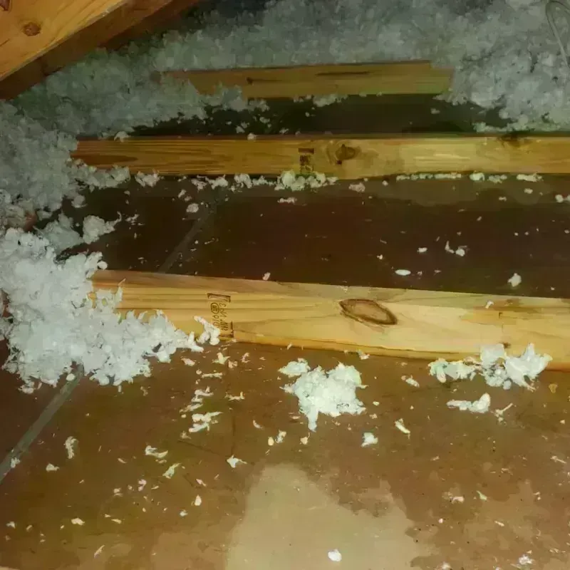 Attic Water Damage in Redmond, OR