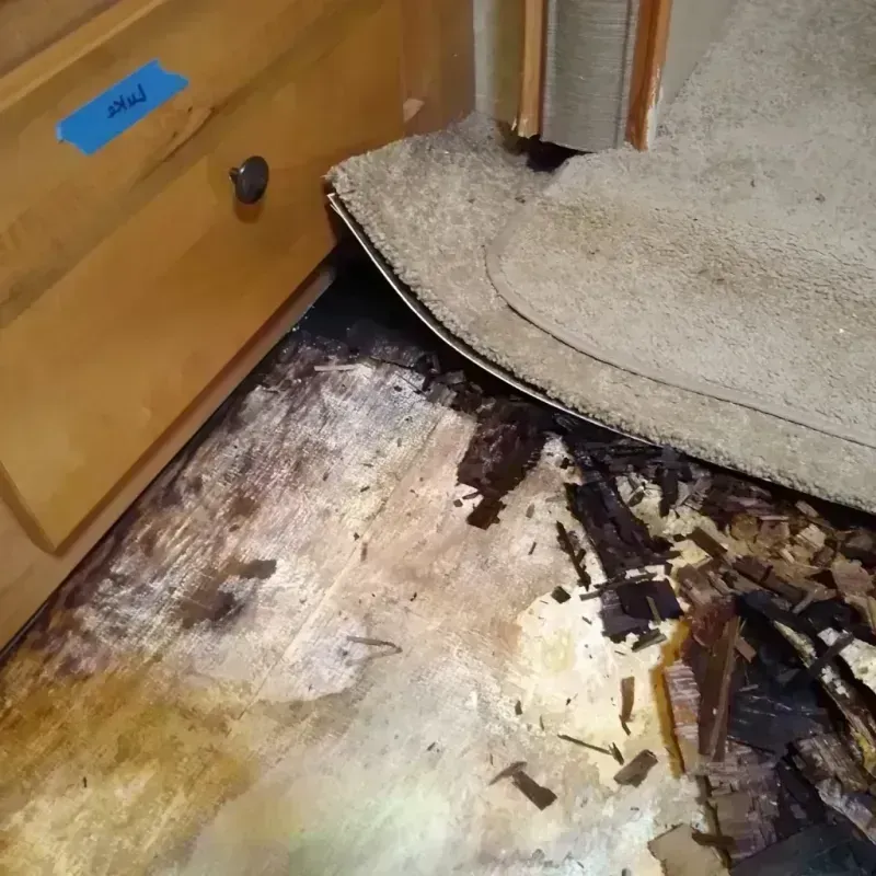 Wood Floor Water Damage in Redmond, OR